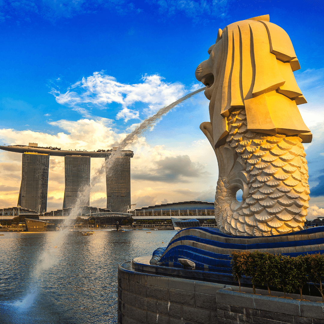 Singapore Service Provider in Vadoara